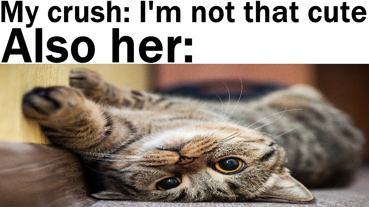 Wholesome Memes That'll Make Your Day Better