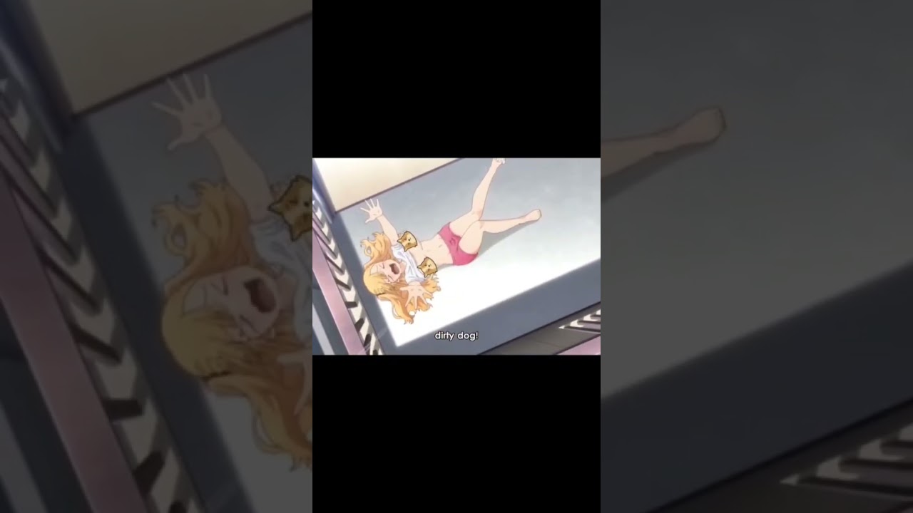 犬になったら好きな人に拾われた。