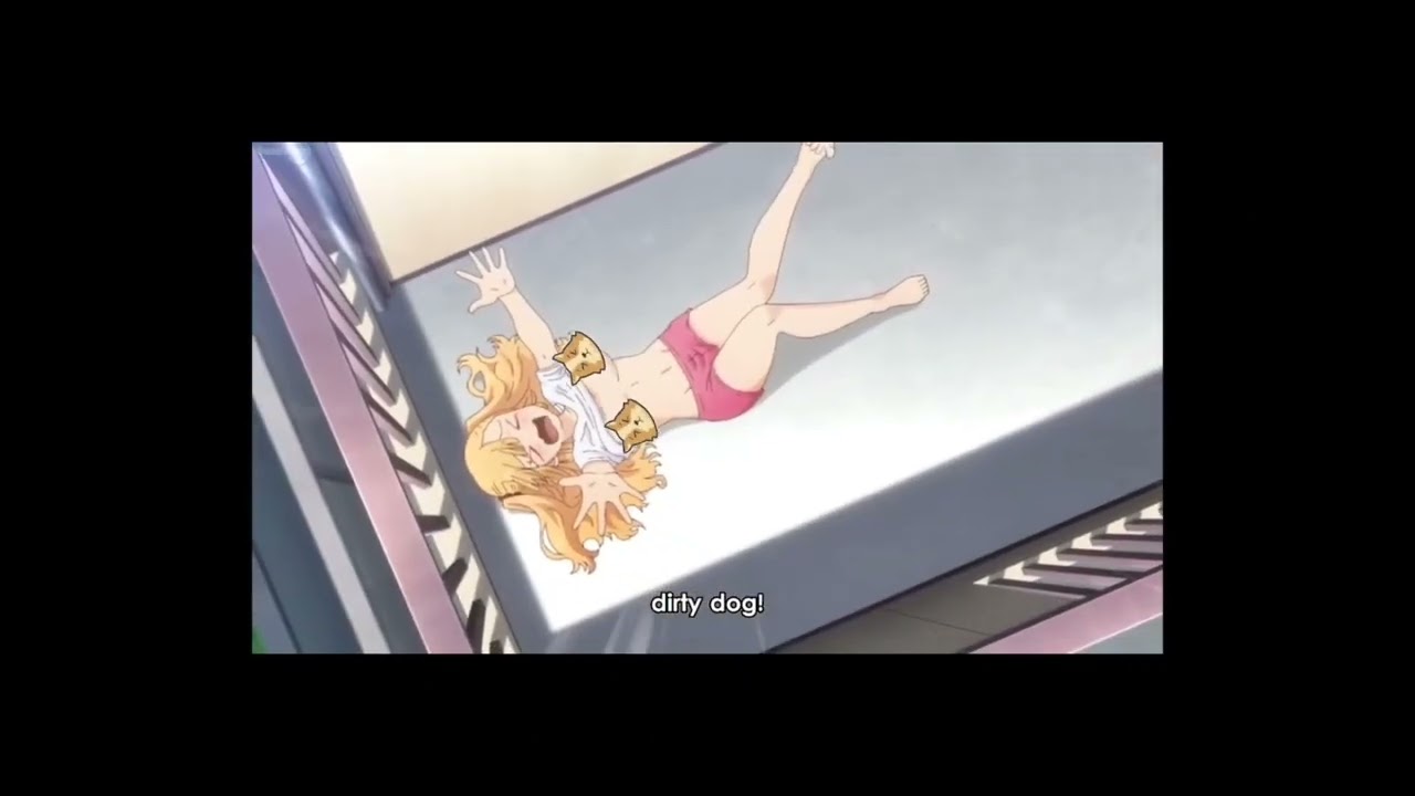 犬になったら好きな人に拾われた。