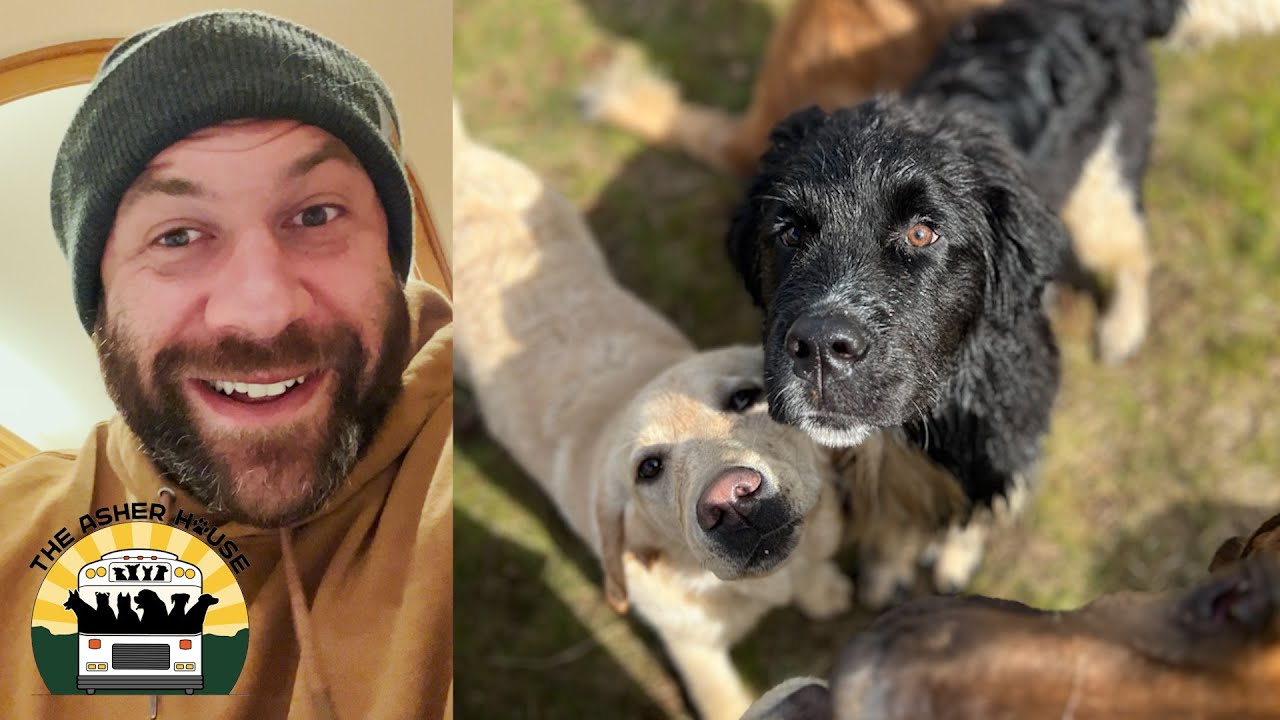 How I start my day at the sanctuary | The Asher House