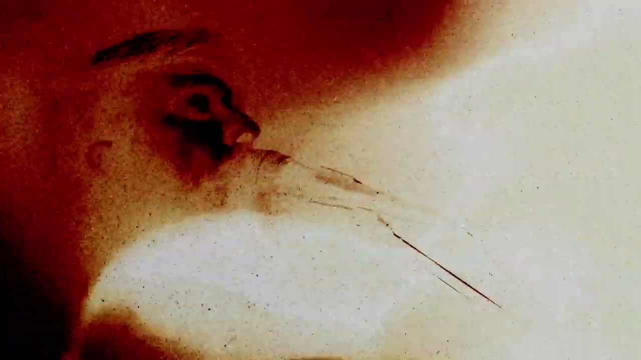 Nadsat - Make My Day (Official Video)