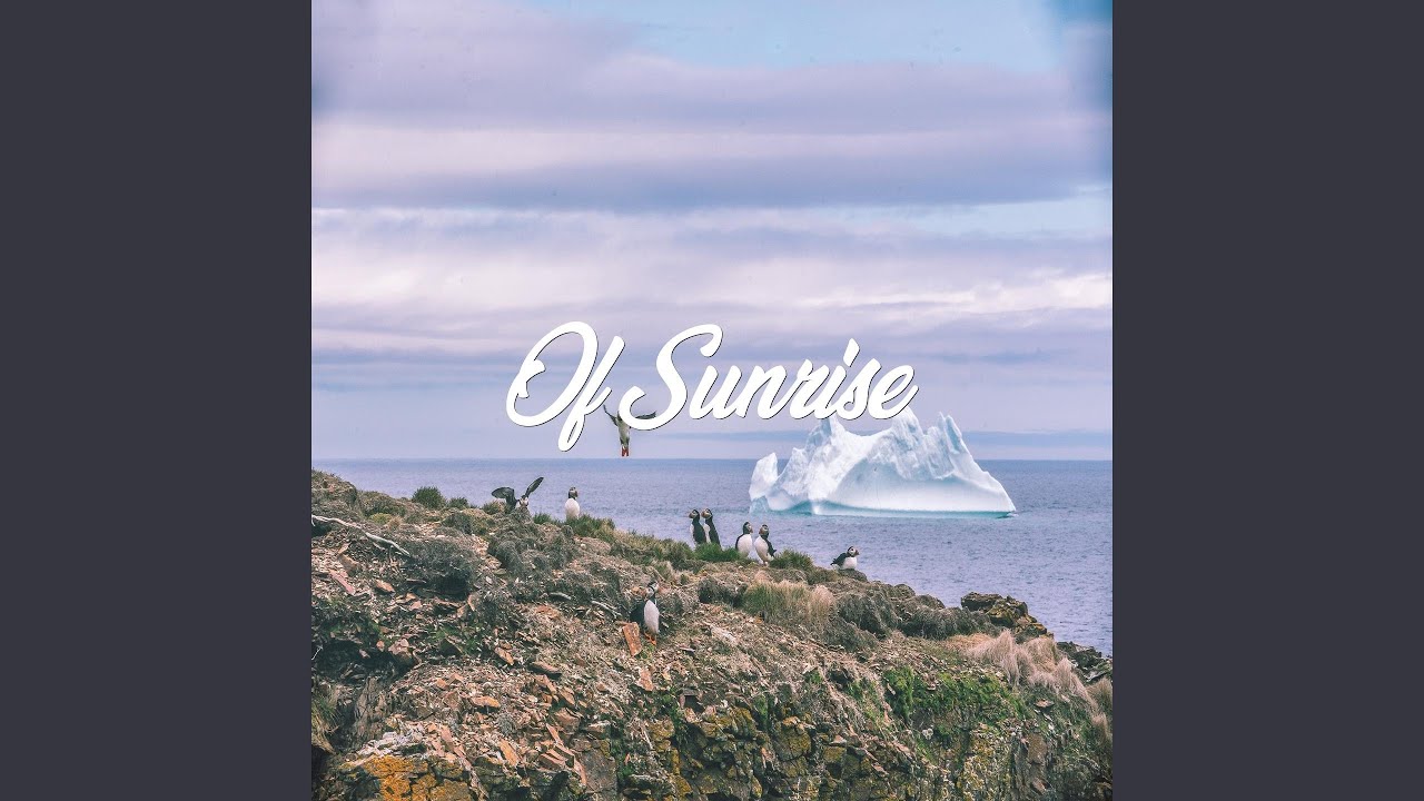 Call Rushing Soul Paced Best Blending Ccddeezzzzzzzz