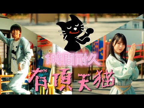 【きよねこっ】有頂天猫/キヨ。     1時間耐久版