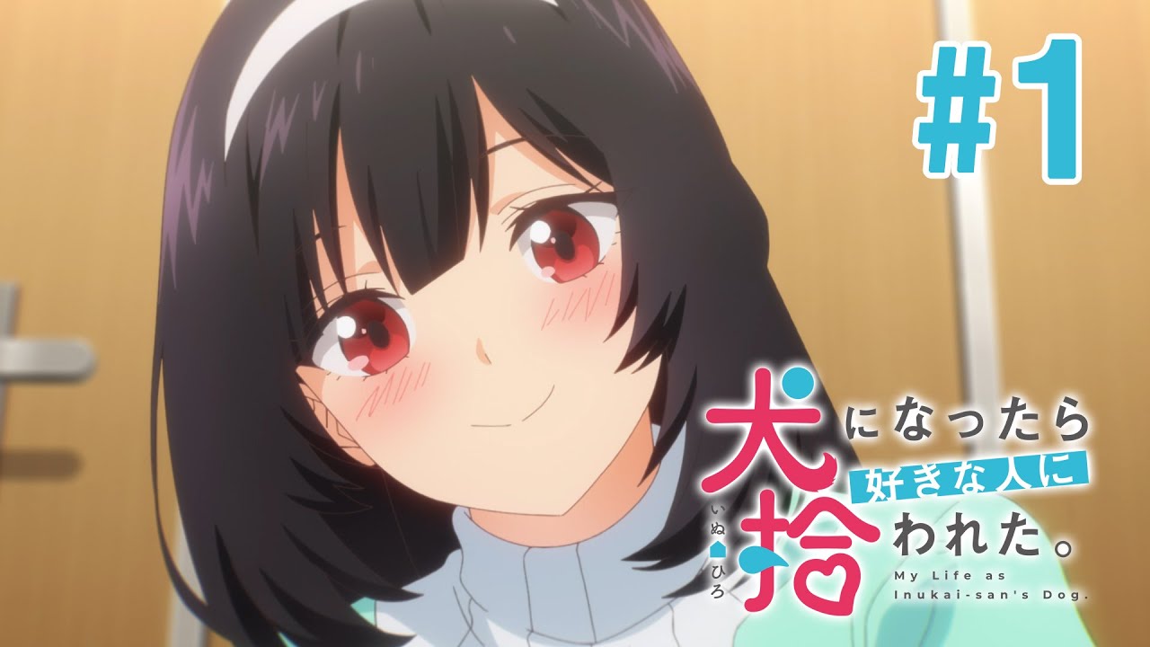 【1話】犬になったら好きな人に拾われた。 2023年5月11日(木)まで 全12話 期間限定イッキ見！【公式アニメ全話】