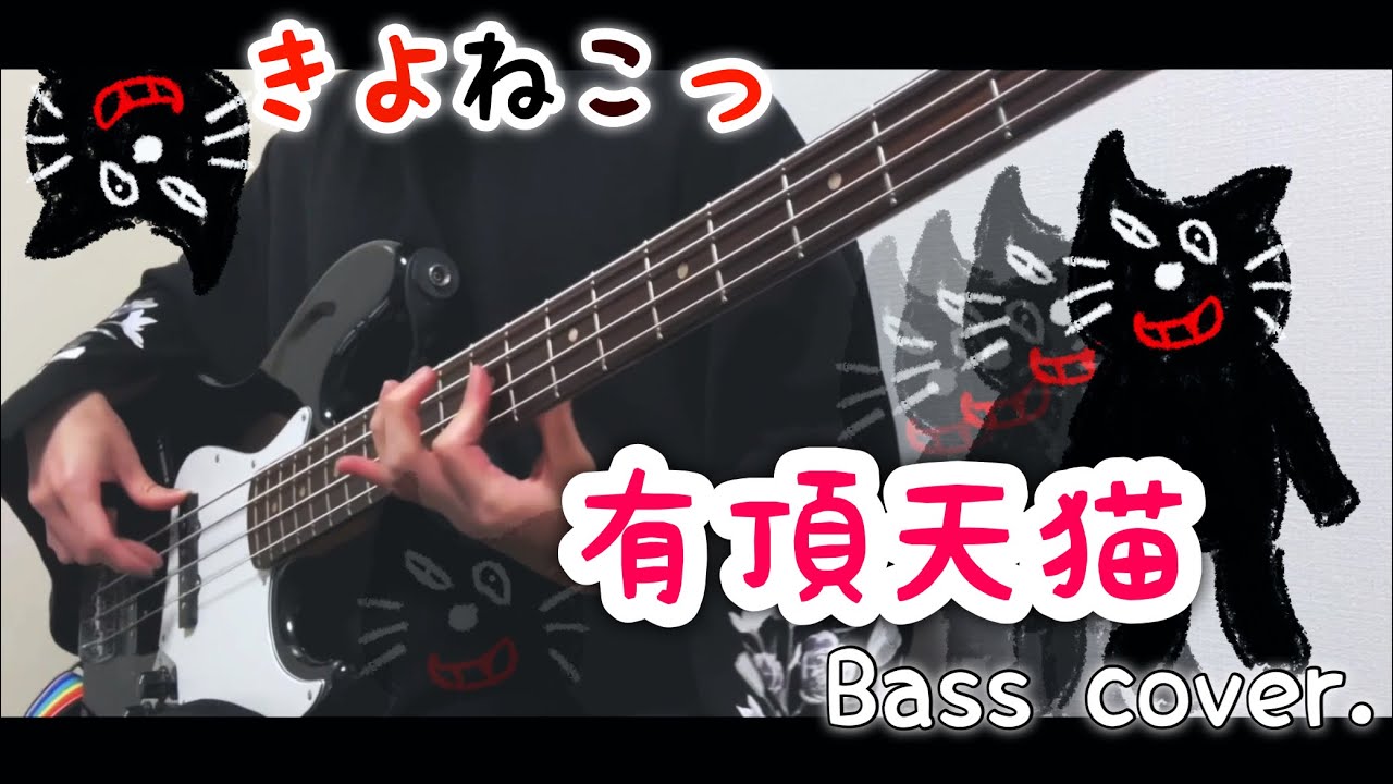 【ベース】有頂天猫 / キヨ