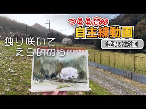 【自主練:透明水彩画】待たれてると気になる‥桜スケッチ つらら庵