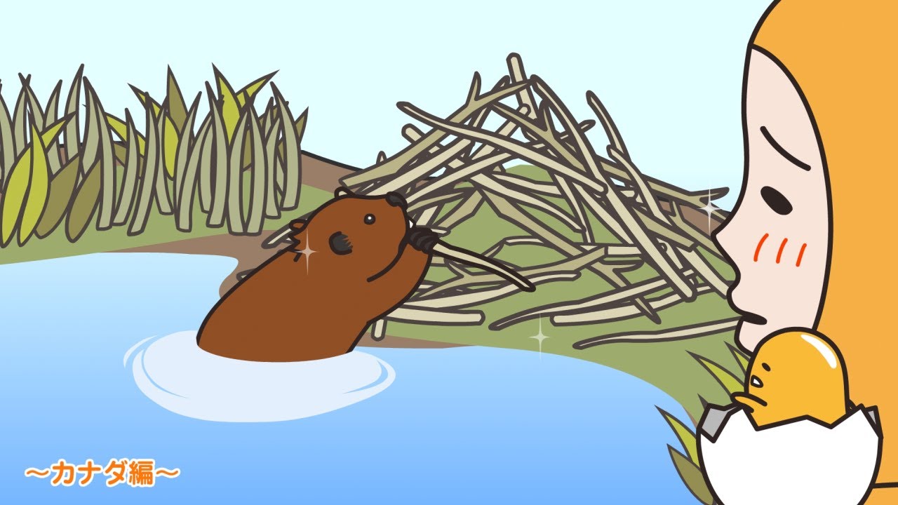 ぐでたまアニメ　第1548話　公式配信