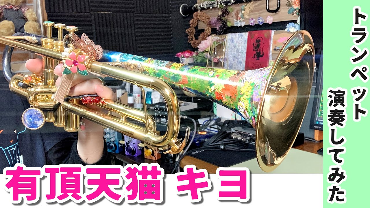 有頂天猫 / キヨ (きよねこっ)【一番上手いトランペット演奏してみた】