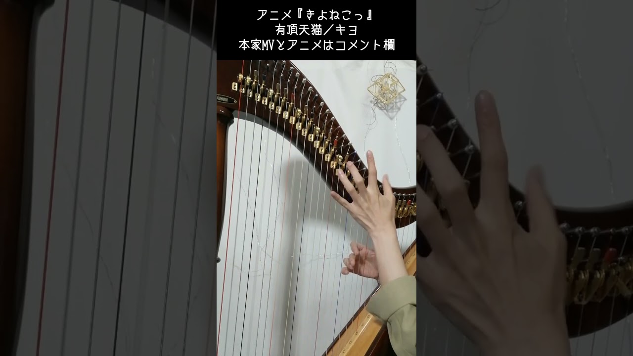 『有頂天猫／キヨ』アニメ「きよねこっ」#harp #lever #shorts #TOP4
