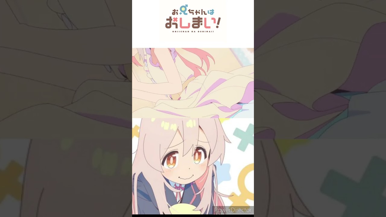 猫のポーズ【お兄ちゃんはおしまい!】#shorts