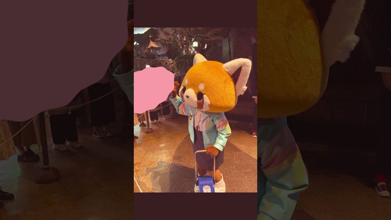 2023/02/07 開園グリ　#サンリオピューロランド #マイスウィートピアノ #アグレッシブ烈子 #バッドばつ丸