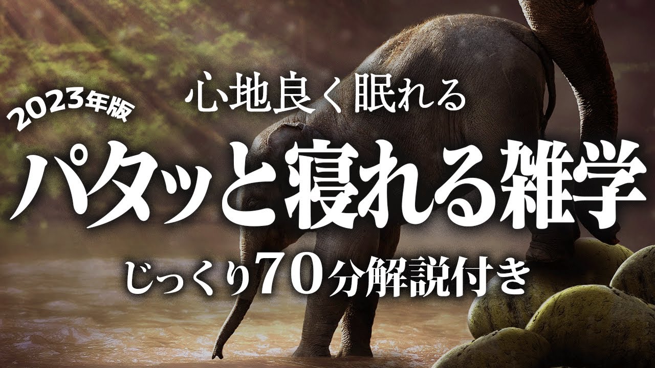【睡眠導入】パタッと寝れる雑学【リラックス】とても深い睡眠へ招待します♪