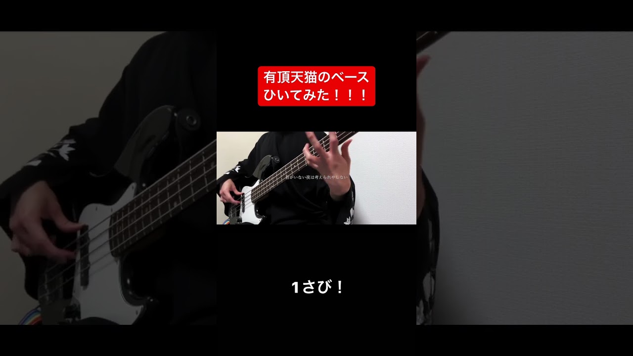 有頂天猫弾いてみたら楽しすぎた#キヨ#ブレーキ音#ブレーキ音の人#ブレーキ音出す男#Eve#eveくん#有頂天猫#きよねこっ#きよねこ#ベース#ベース弾いてみた#basscover