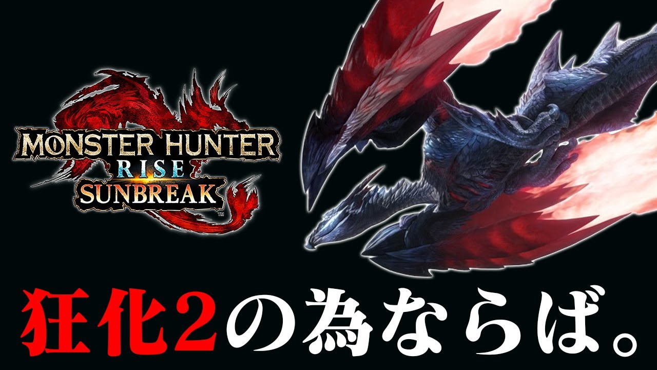 狂化2を出す為の傀異素材集めの為の装備構成の為の傀異錬成をします【モンハンライズ サンブレイク】