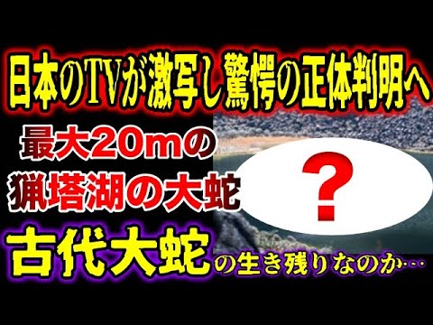 【ゆっくり解説】日本のTVが激写し驚愕の正体判明へ！最大20mの猟塔湖の大蛇の怪物は古代生物の生き残りなのか…【古代生物生存】