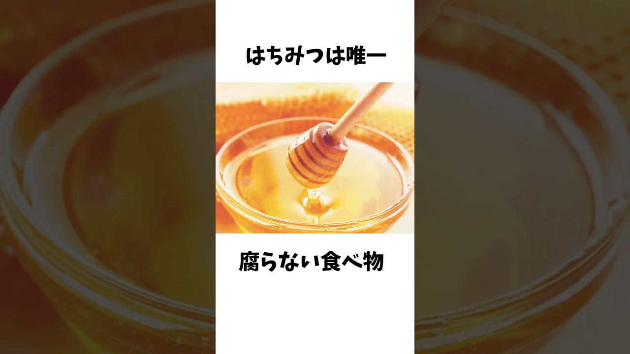 食べ物に関する面白い雑学ｗｗｗｗｗｗｗ#shorts