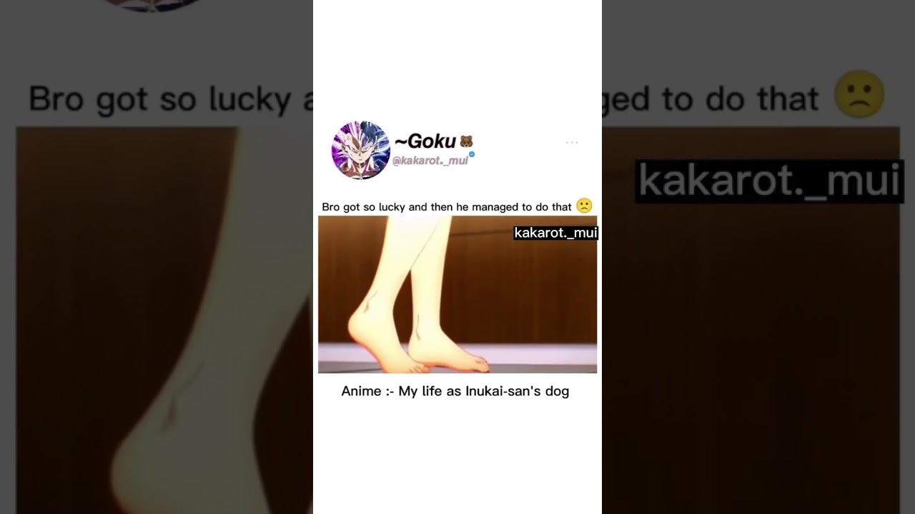 Anime : My life  aa Inukai san-Dog #shorts #viralshorts