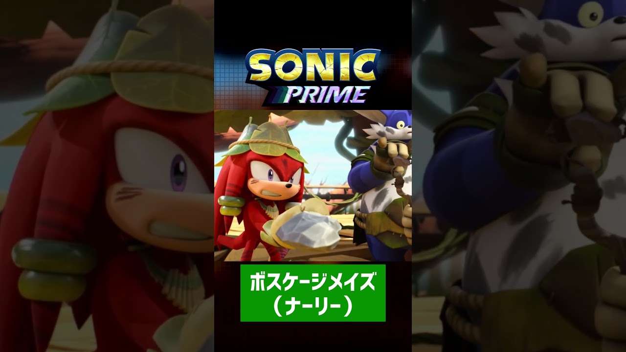 【SonicPrime】各世界ごとのキャラクターまとめ【ナックルズ編】#shorts
