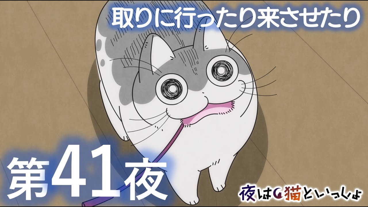 アニメ『夜は猫といっしょ』第41夜「取りに行ったり来させたり」