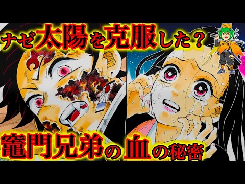 禰豆子＆炭治郎が太陽を克服できた理由は◯◯◯...本誌では明かされていない"竈門兄弟"の秘密...※ネタバレ注意【鬼滅の刃】【やまちゃん。考察】