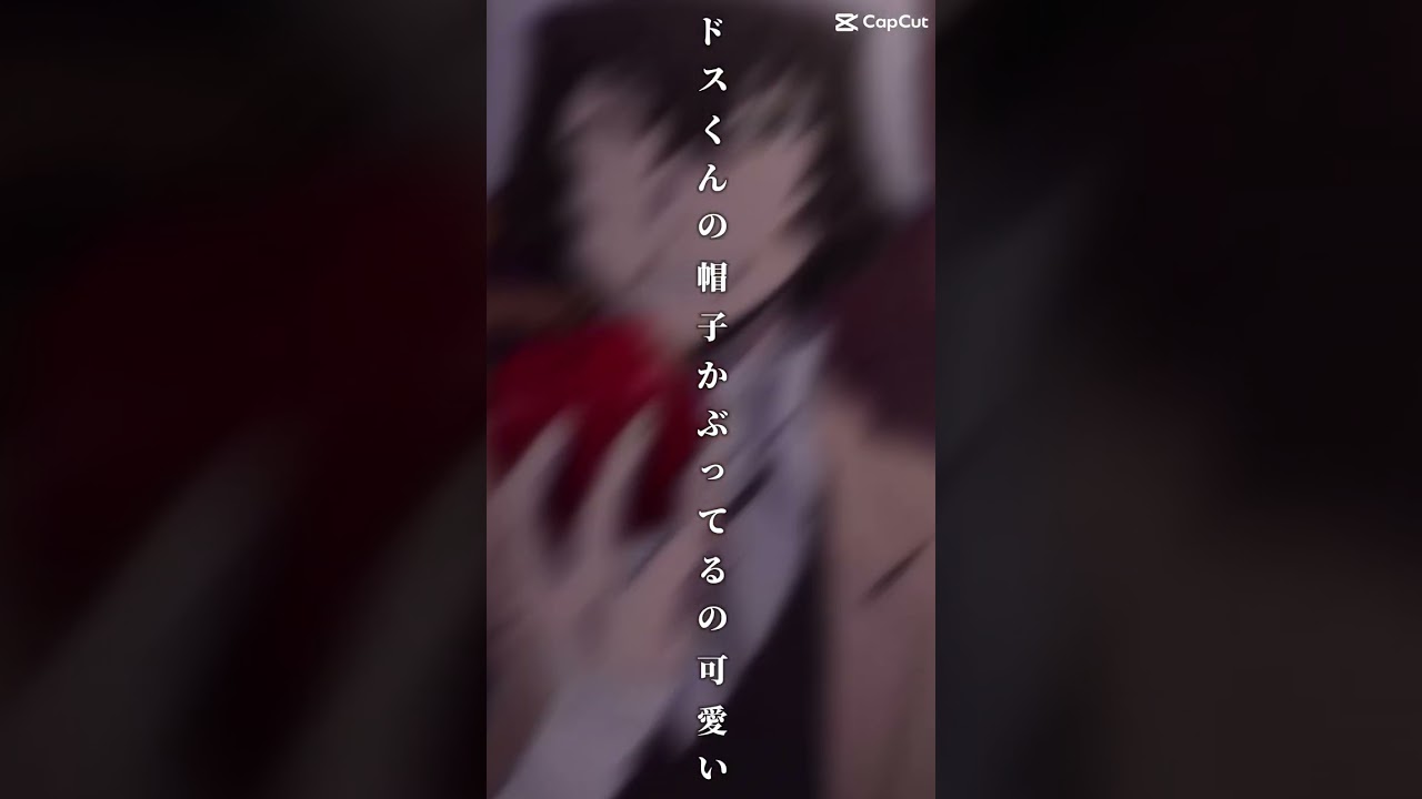 文豪ストレイドッグス好きな人ならわかるはずだ……                                        (2枚目は非公式ですみません💦)＃文豪ストレイドッグス  ＃文スト