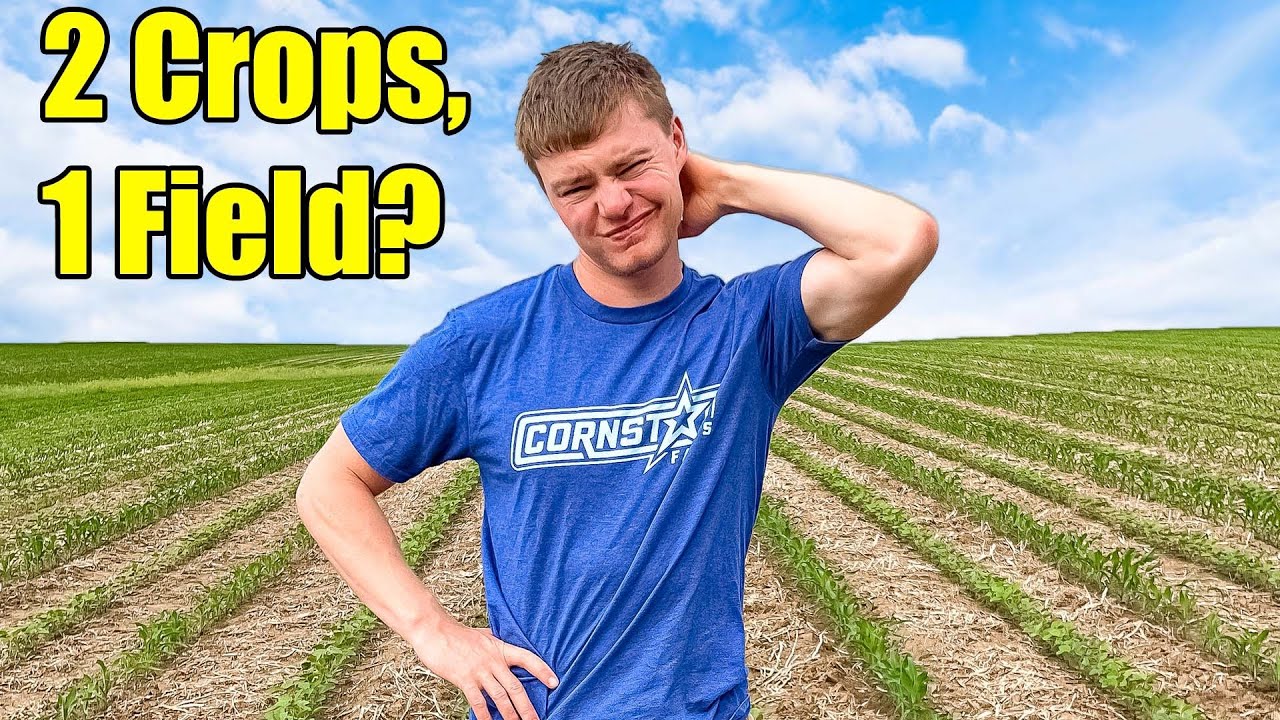 Trying A Completely New Way Of Farming (Bad Idea?)