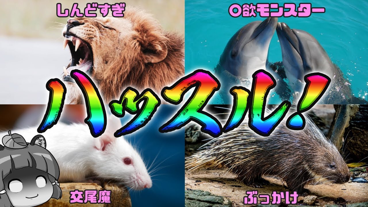 【ハッスル】ご立派ァ！性欲のヤバい生き物7選 パート2