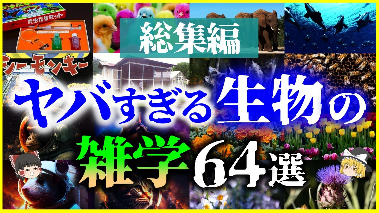 【ゆっくり解説】【総集編】眠れなくなるほど面白い「生物の雑学」64選を解説【作業用】【睡眠用】