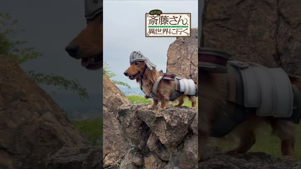 『便利屋斎藤さん、異世界に行く』のラエルザさんの衣装を作ってみた。＃Shorts、＃ラエルザ