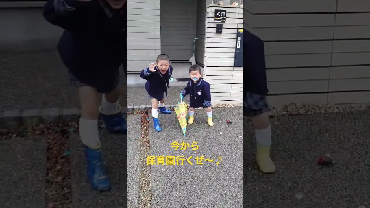 ２人仲良し♪ @inukai-ke_1zoku  #shorts