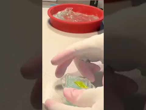 【職人技】飴細工で作る！『シュガーアップル・フェアリーテイル』砂糖菓子企画動画 🧚🏻‍♂️🍎🍬