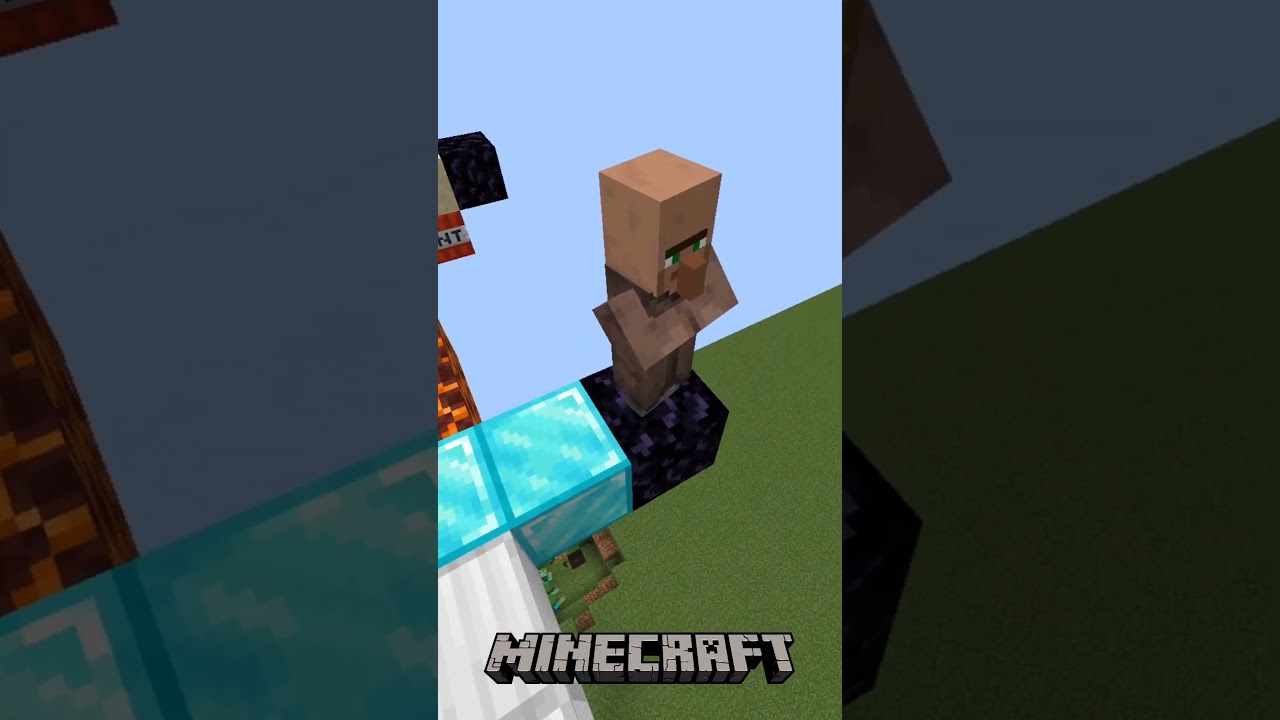 Iq Test of Revenger🐗  #shorts #minecraft