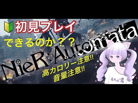 NieR:Automata   day2