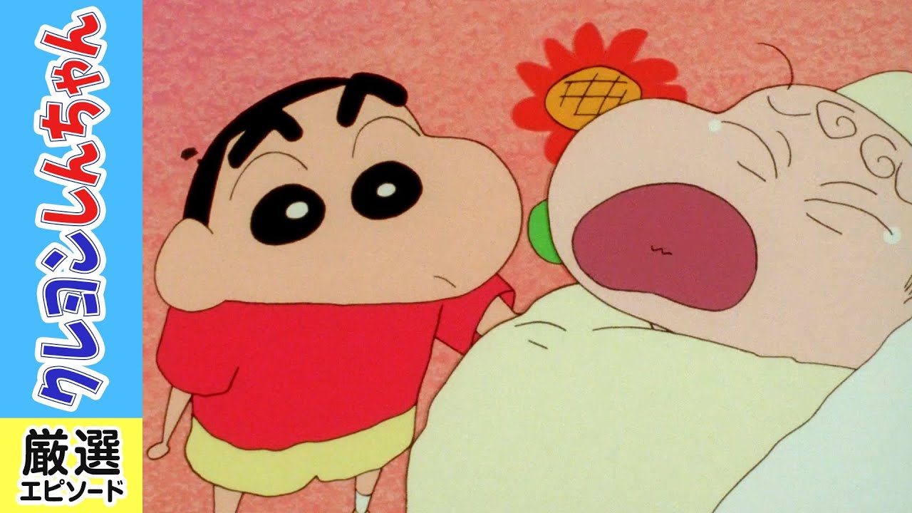【クレヨンしんちゃん厳選】赤ちゃんが生まれたゾ《アニメ公式》