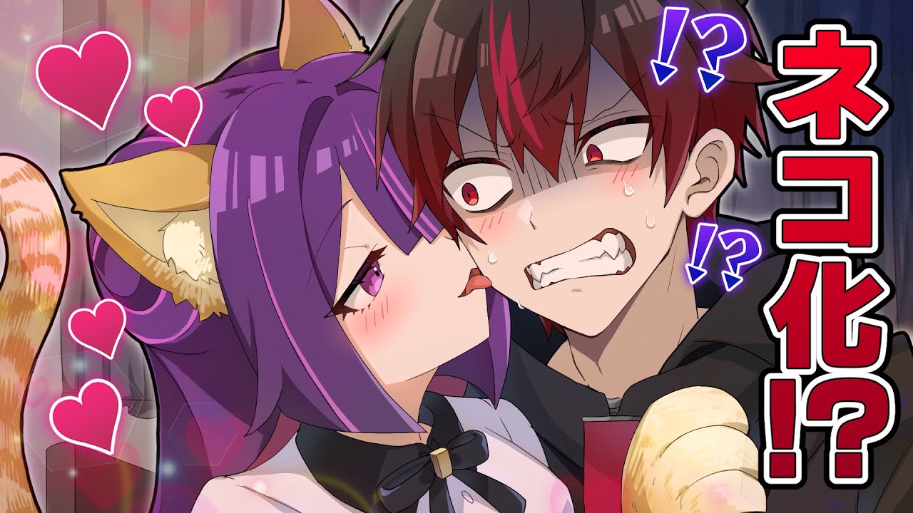 ネコ化するとどうなるのか？【アニメ】【漫画】