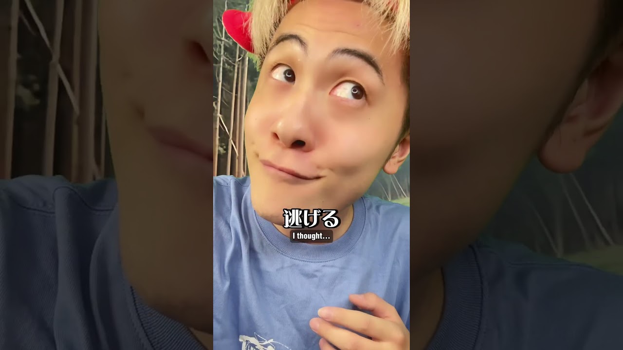 ジャングルで寝たら誘拐されました。 #Satoshionishi  #リミックス  #コメディ #あるある #クスッと動画