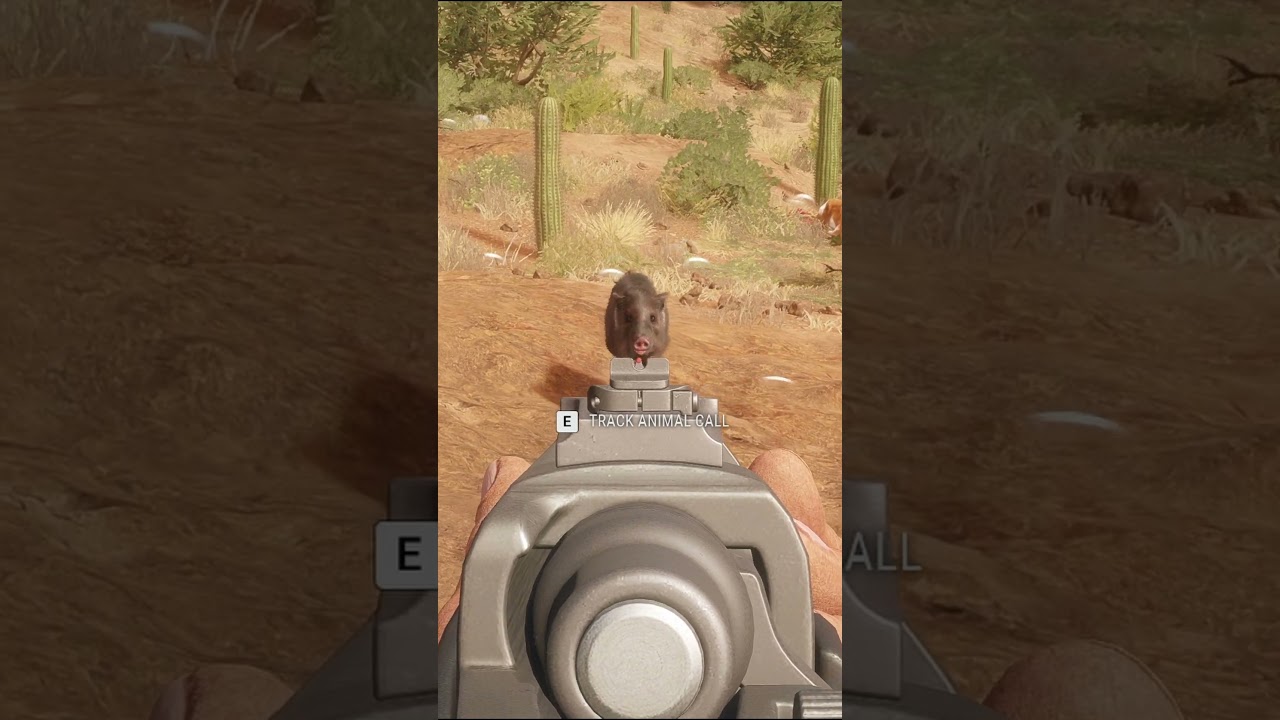 They Just Kept Coming In To Me 😩🦌 | theHunter: Call of the Wild