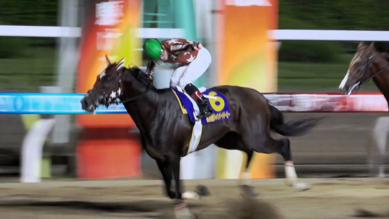 【JDD2023】ミカモトコールが凄かった‼ 無敗の三冠馬 ミックファイア誕生‼ウィニングラン 現地映像