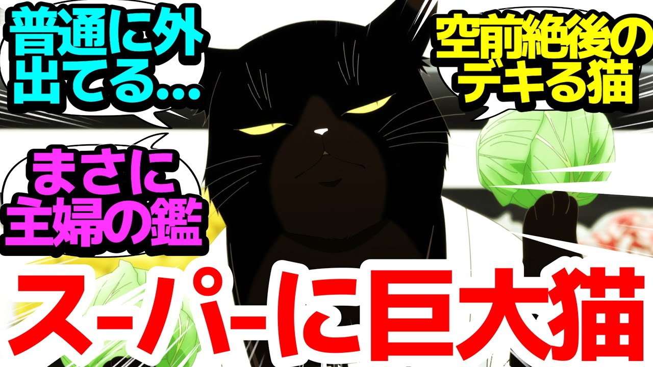 【割烹着ネコ】普通に外出てスーパーで買い物するデキる猫…3年でなんでこんなにデカくなったの？【デキる猫は今日も憂鬱】第2話反応集＆個人的感想【まとめ/感想/アニメ/視聴者の反応】