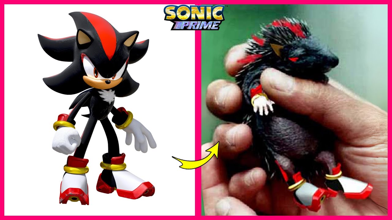😱 SONIC PRIME Season 2 ‎️‍🔥 Real Life