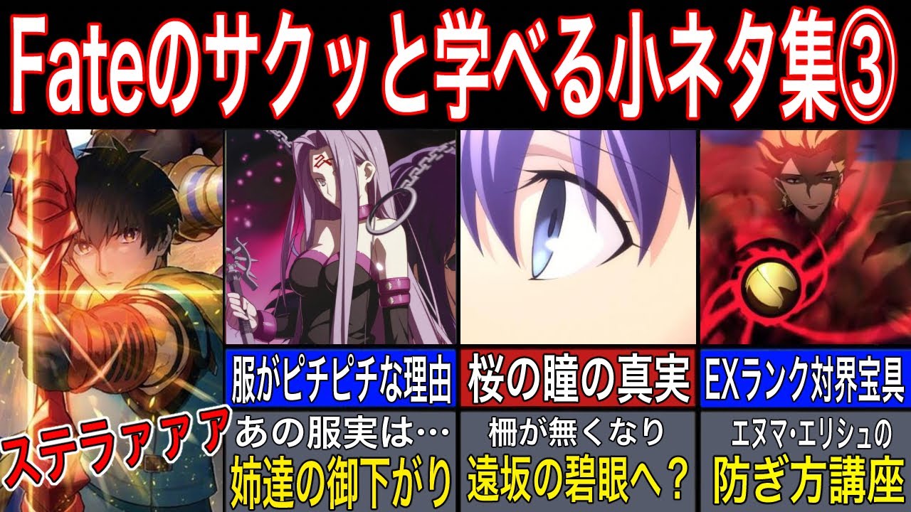 【Fate】メドゥーサの服装のサイズがピチピチな真実 ※成長してくれてありがとう...【fate strange fake】