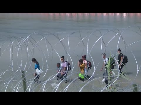 Texas lawmakers call for investigation into Operation Lone Star's treatment of migrants