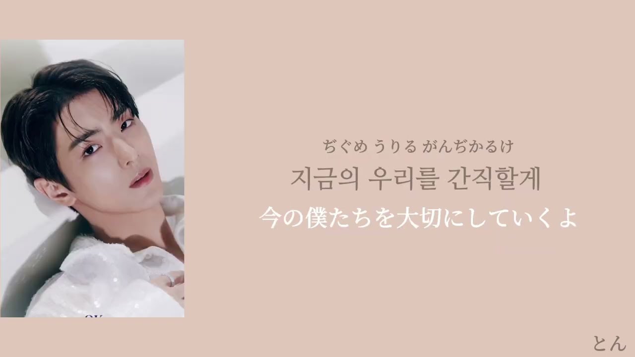 「青春という悲劇の中の僕たち」Curtain Call- CIX(씨아이엑스) 歌詞/日本語字幕/和訳/カナルビ