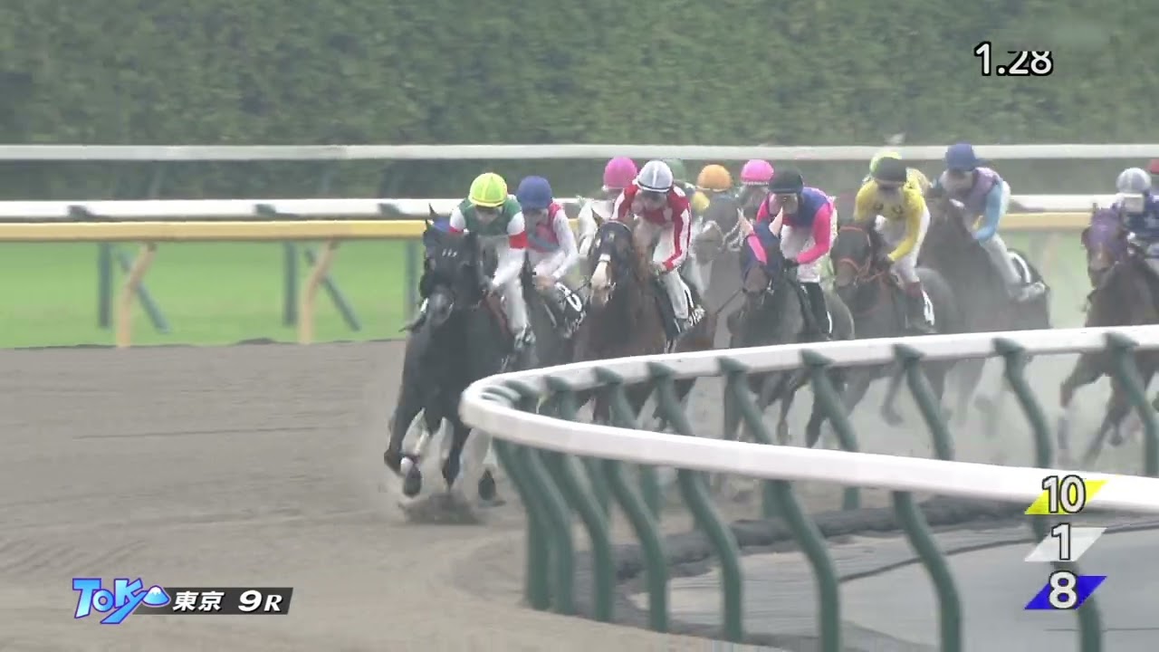 2023 06 11 東京9R 八王子特別 セラフィックコール(D.レーン)