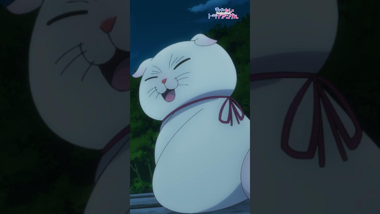 「妖の五感はお前ら人間と格が違うである」｜TVアニメ「あやかしトライアングル」第5話より　毎週月曜日25時より各局にて放送中！ #あやトラ #shorts #猫