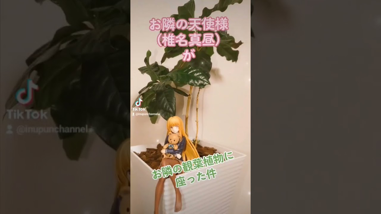 【お隣の天使様】椎名真昼フィギュア×観葉植物がいい感じになった件