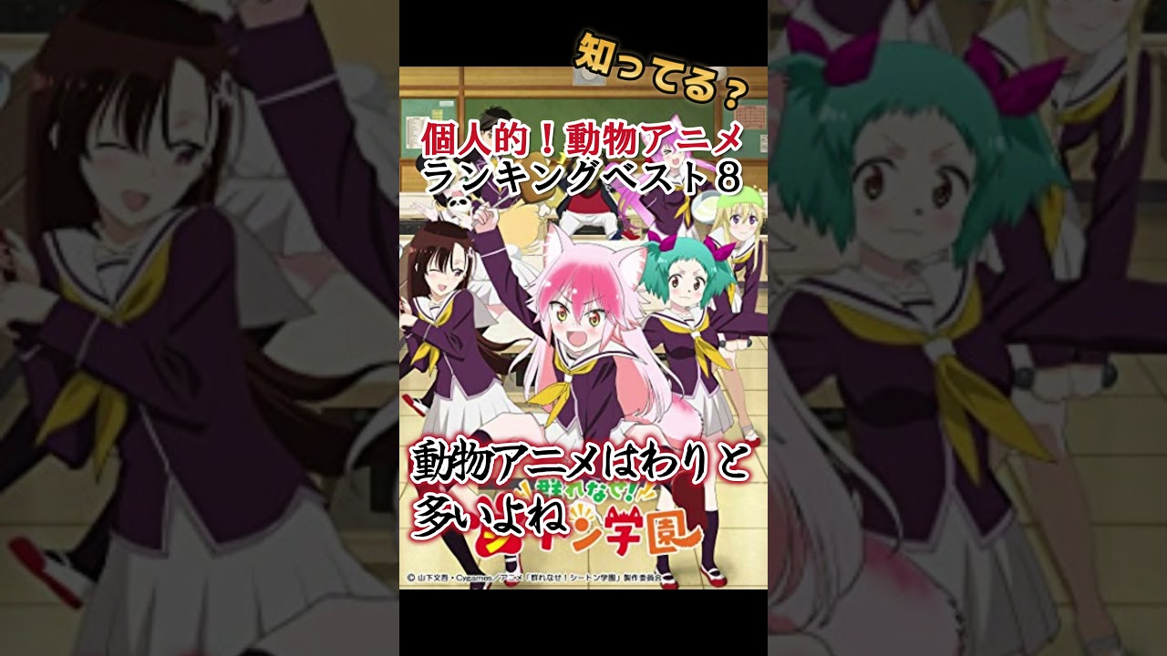 【ケモナー歓喜】個人的！動物アニメランキングベスト８！【分かるかな？】