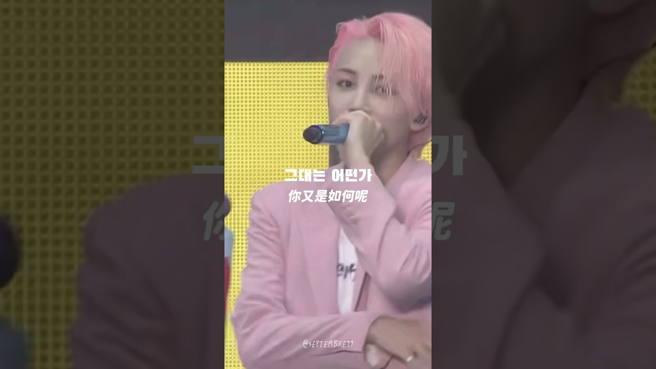 [세븐틴] YOU MAKE MY DAY #세븐틴 #seventeen 💎✨