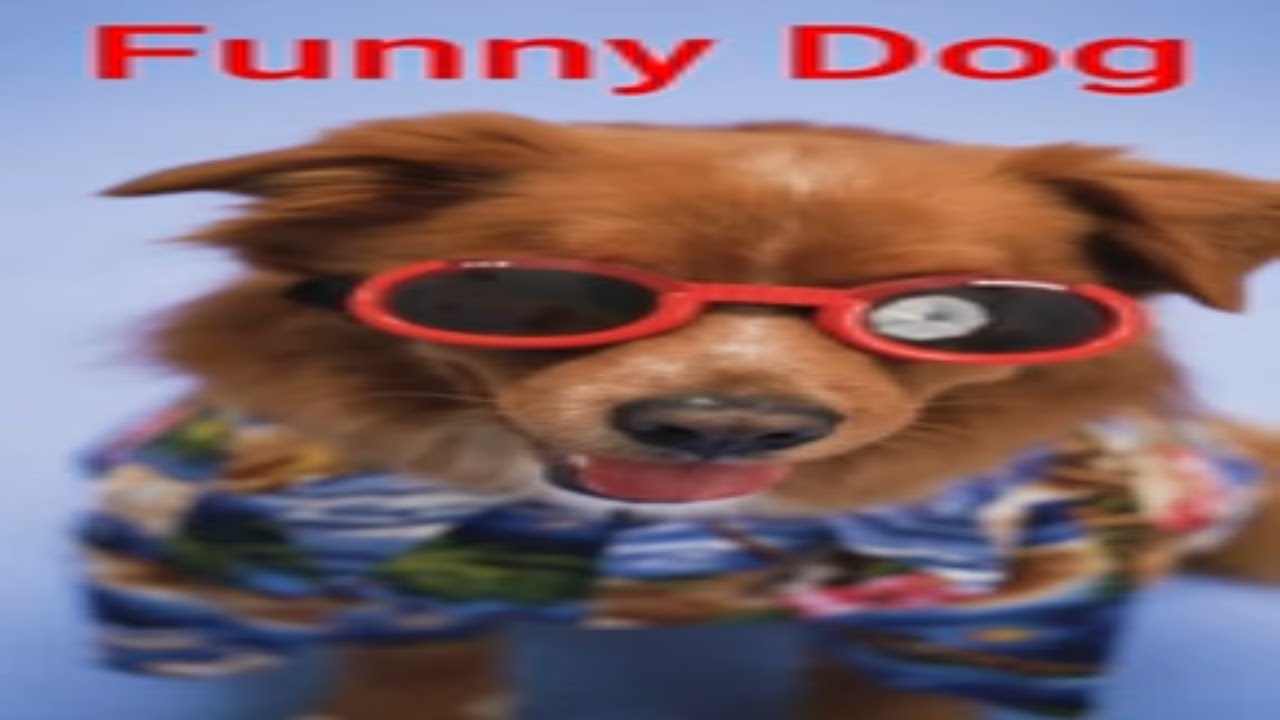 funny dog |make my day better | cute dog #shorts #dog #relaxing