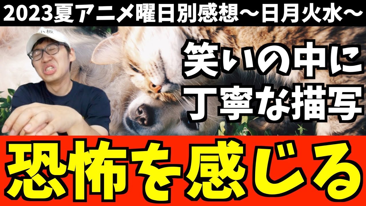 【8,9話】個人的2023夏アニメ曜日別感想〜日月火水〜【アンデッドガール・マーダーファルス / 無職転生 / 政宗くんのリベンジR / おすすめアニメ】